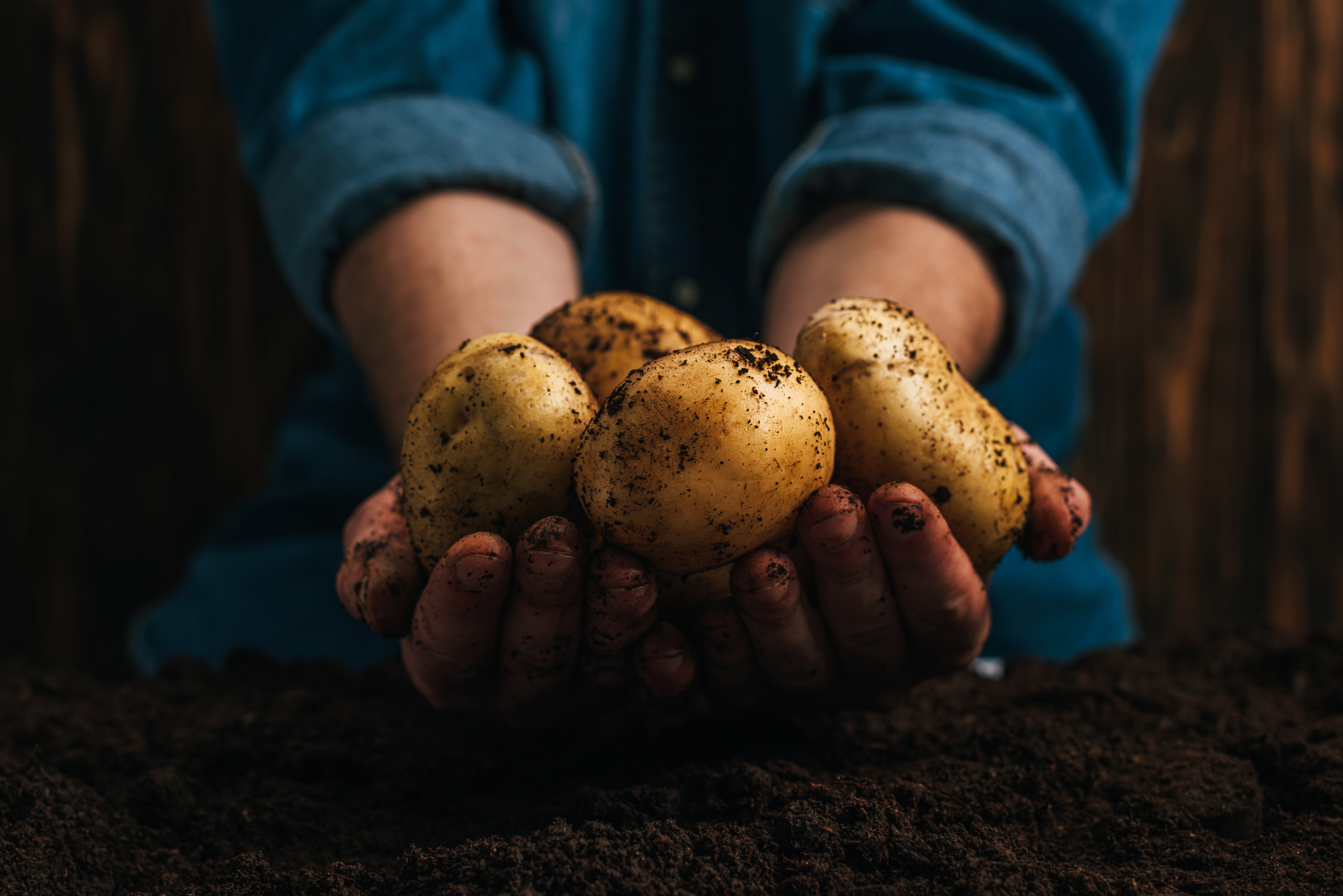 duurzaam geteelde aardappelen